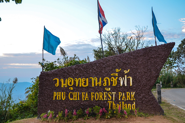 Phu Chi Fa Forest Park