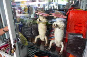 chinatown alligators bangkok