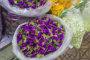 pak klong talad purple flowers bangkok