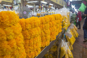 pak klong talad yellow flowers bangkok